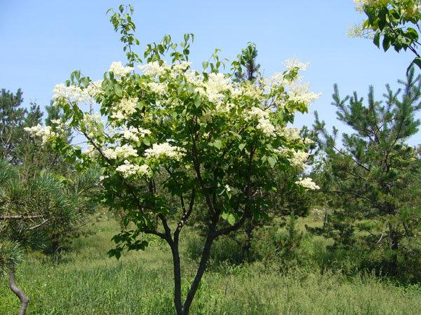 1611831150932594.jpg src=http _s10.sinaimg.cn_middle_6a80ff6bg8cfaf8ae3539&690&refer=http _s10.sinaimg.cn&app=2002&size=f9999,10000&q=a80&n=0&g=0n&fmt=jpeg.jpg