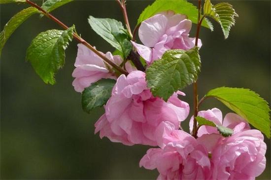 1664003442369020.jpeg 3c0a765ebe89c0101896e697b0d706e0.jpeg