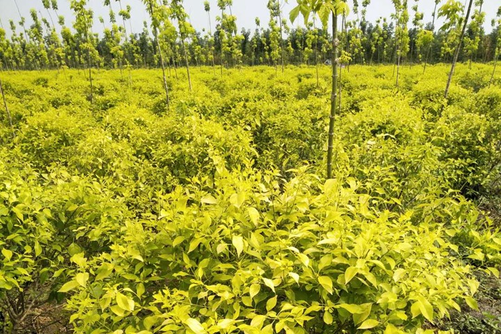 1686320593131671.jpg a2c24653a5e73f3a88ef2f2a8eb224b9_1686316112503314.jpg