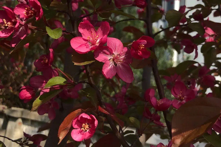 1686321899997592.jpg 121.jpg