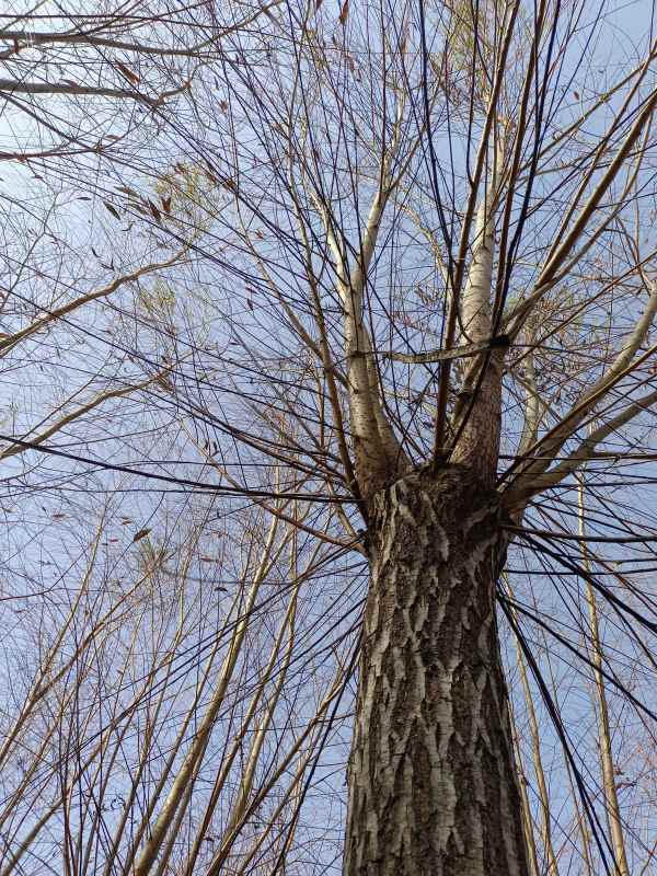 1733125215886136.jpg IMG_20211121_114506.jpg