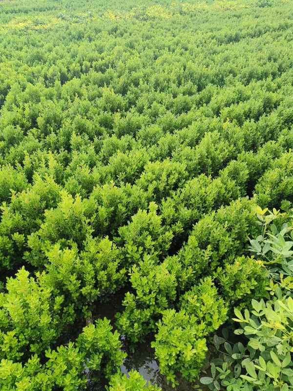 1734419914426522.jpg IMG_20230901_093048.jpg