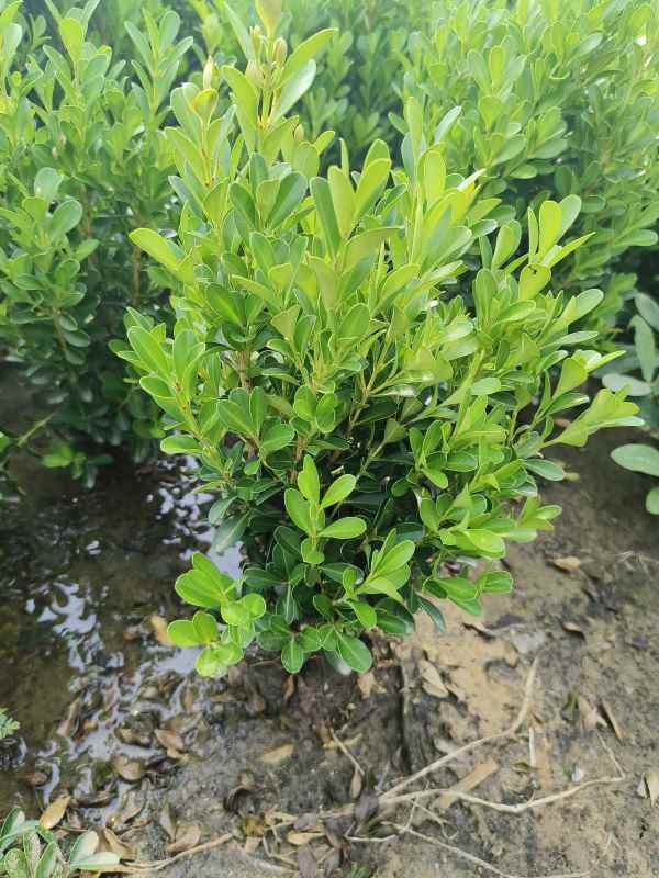 1734420001838095.jpg IMG_20230901_093038.jpg