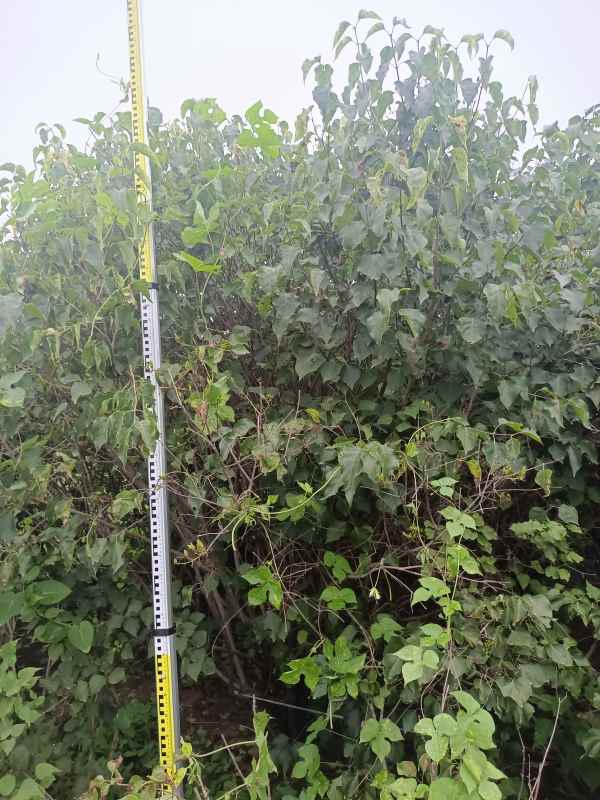 1734675857665977.jpg IMG_20220818_133217.jpg